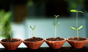 정서적 성장의 8가지 신호