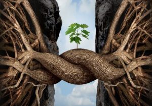 일곱 개의 통나무: 삶에서 우리가 마주하는 일반적인 도전들