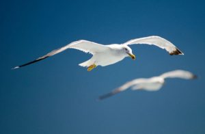 당신이 아니라 내가 문제야