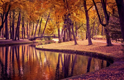 가을 강변 