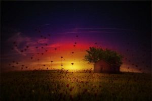 감정을 사고 파는 감성 마케팅