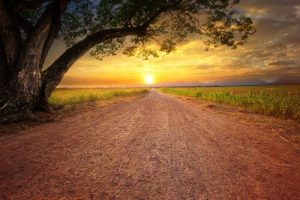 의욕 상실의 뒤에는 무엇이 있는가?