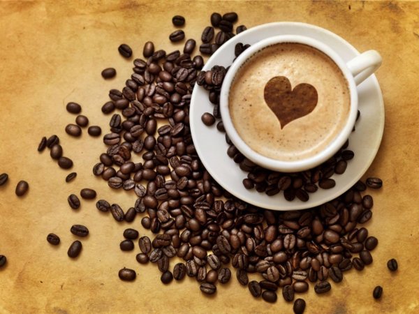 디카페인 커피가 두뇌에 주는 7가지 이점