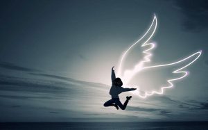 행복은 삶의 광기에서 비롯된다