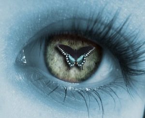 세렌디피티: 우연한 행복을 경험해 본 적이 있는가?