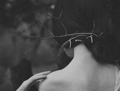 머리에 꽂힌 나뭇가지