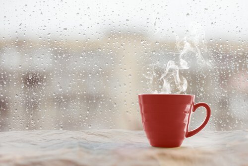 불면증 치유 방법: 커피