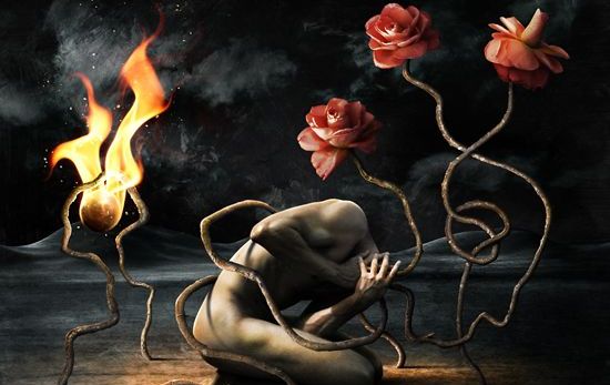 불 - 우리가 믿기 좋아하는 거짓말