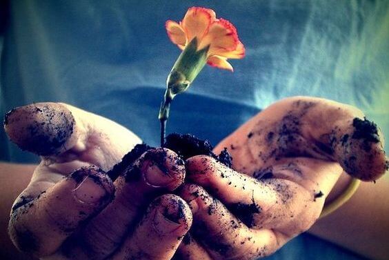 손 안의 흙과 꽃: 잔혹함에 대한 최고의 반응은 바로 친절함이다