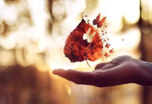 질문하고 답을 찾는 데 각각 수년이 걸린다