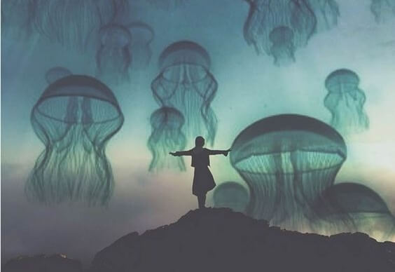 해파리