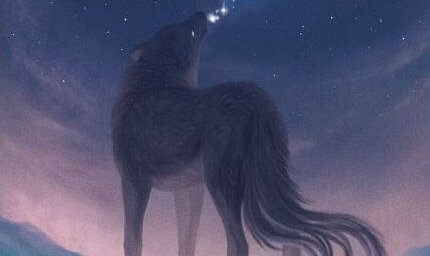 분홍 하늘을 향해 울부짖는 늑대