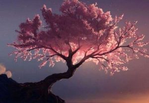 도교에서 말하는 정화의 나무