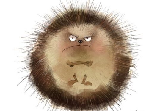 유머 혹은 분노: 무엇을 갖고 살 것인가?