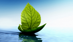 제이콥슨의 혁신적인 근육 이완 운동으로 스트레스를 날리자