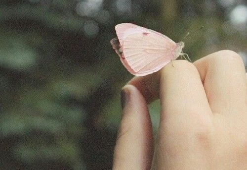 때를 놓치기 전에 불만을 토로하라