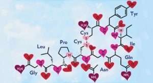 옥시토신: 사랑과 행복의 호르몬