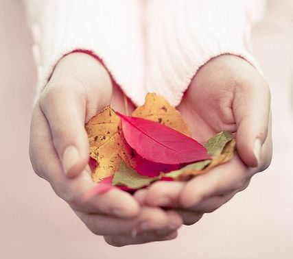 꽃잎을 든 여자의 손