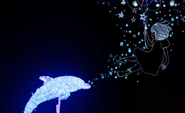 발광하는 돌고래