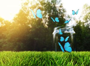 행복의 유리병: 방법 및 원리