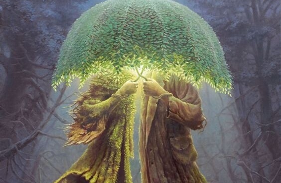 나무 우산