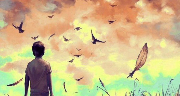 새를 보는 소년