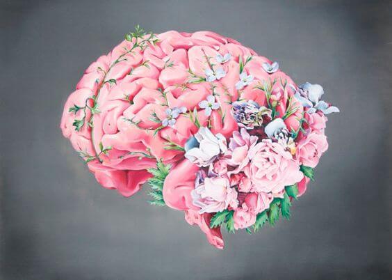 꽃 뇌