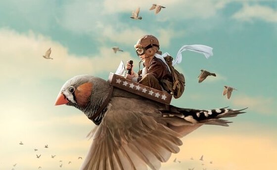 성공하는 사람들의 7가지 습관