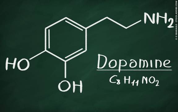 도파민의 정의와 기능