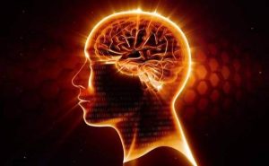 뉴런과 신경의 최고 수호자, 오메가-3