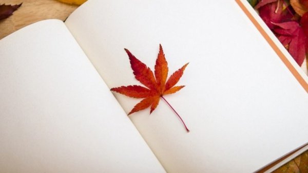 어려운 시기도 치유의 순간이 될 수 있다