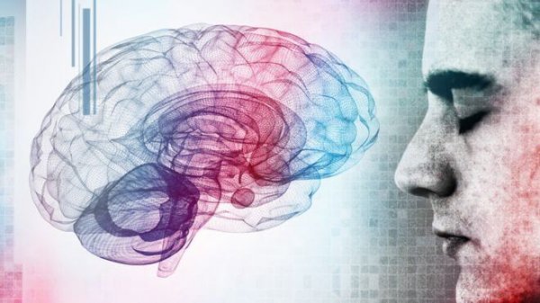 똑똑한 사람들이 갖고 있는 어두운 면