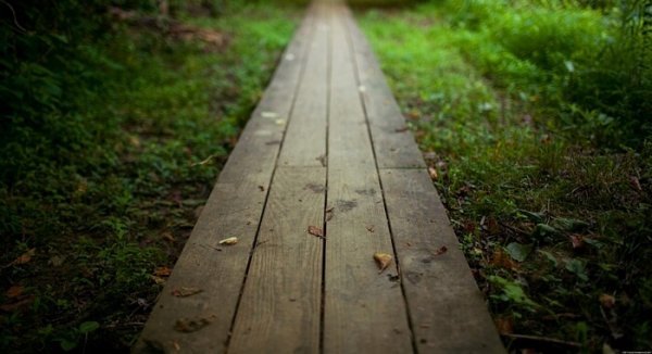 피해자의 회복력