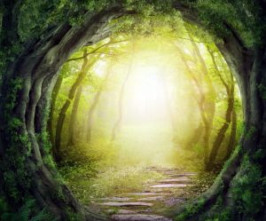 누구나 폭풍을 피할 피난처가 있다