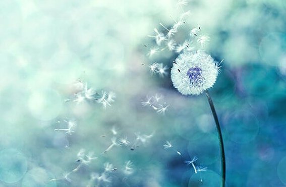 인생은 상벌의 문제가 아니라 결과가 따르는 것이다