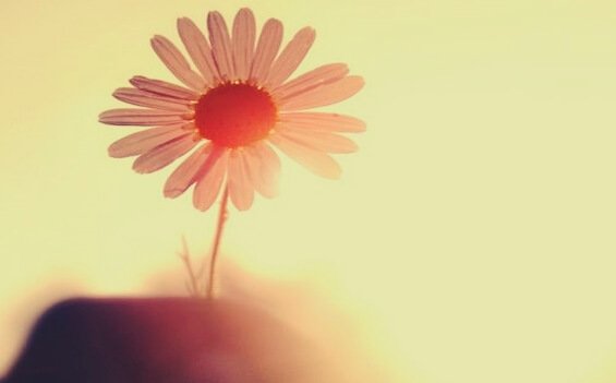 영웅과 희생양: 혼란을 극복하는 두 방법