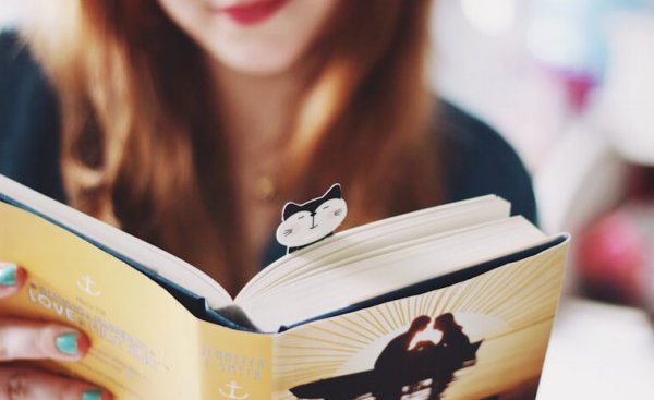 독서와 뇌: 책을 읽는 것이 뇌에 어떤 영향을 미칠까?