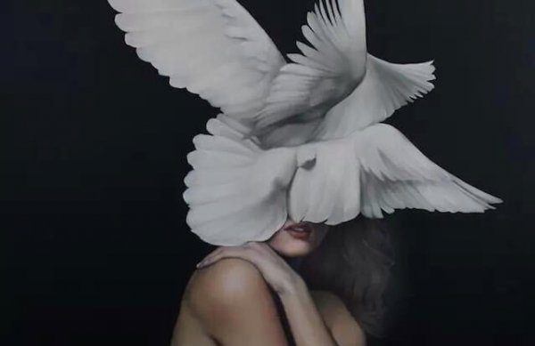 하얀 날개같은 것으로 얼굴이 가려진 여자 그림