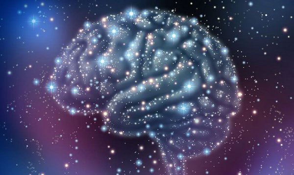 자폐증 그리고 아인슈타인: 특별한 뇌 이야기