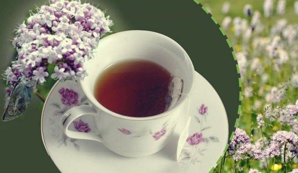 발레리안: 천연 항불안제 5가지