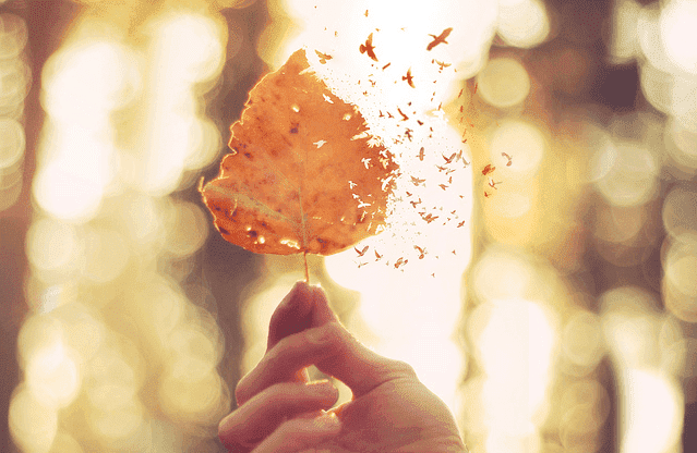 상처받은 마음을 치유하는 5가지 방법