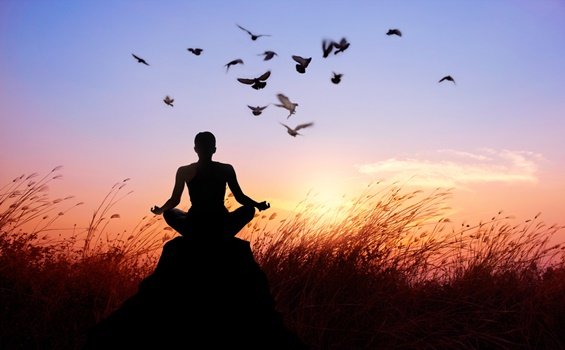 불교의 가르침: 고통을 끝내는 8가지 방법