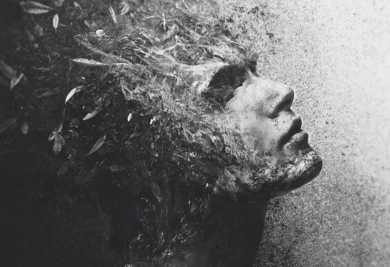 남자 얼굴 깃털