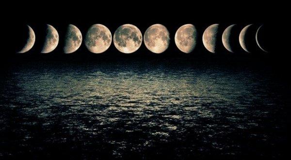달의 각기 다른 단계; 신경 과학자 마크 필리피