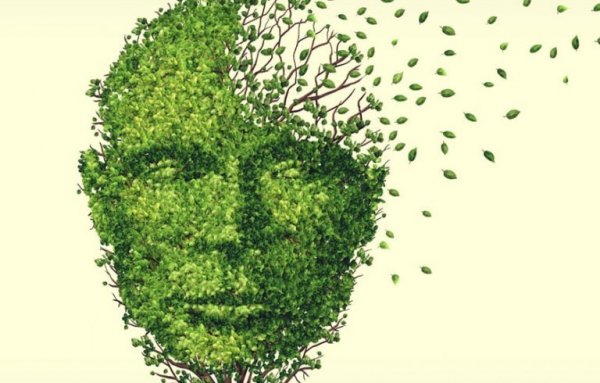 스트레스성 기억 상실