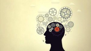 지능 발달: 지능을 높이기 위한 7가지 훌륭한 비법