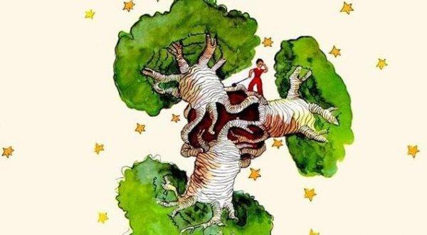 마음속의 바오밥 나무: 어린 왕자에 대한 성찰