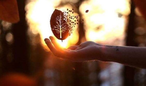 흥분이 사라질 때: 관계가 끝날 때를 아는 방법