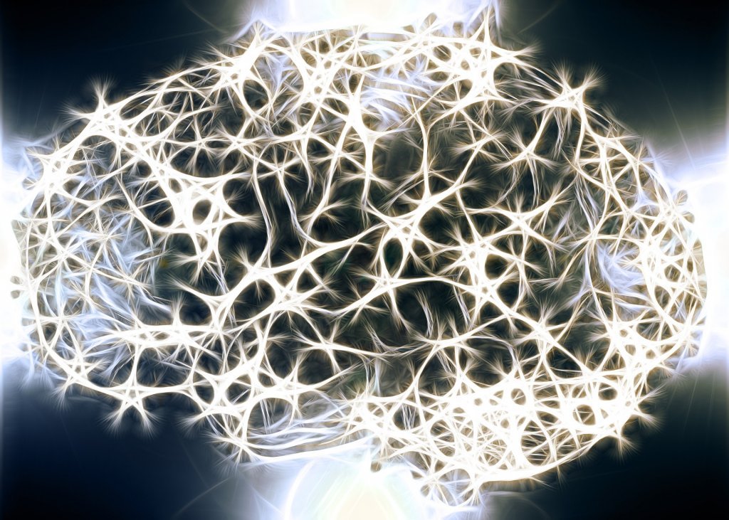 신경계의 백질이 중요한 이유는 무엇일까?