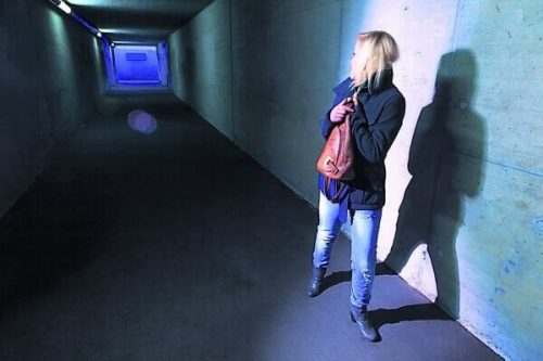 망상형 조현병에서 공격성은 드물다